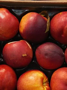 Close-up view of ripe red and yellow nectarines tightly packed in dark tray.. Stock Photos