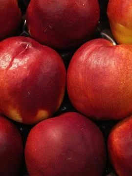 Close up view of ripe red nectarines packed tightly together, showing smoot.. Stock-Fotos