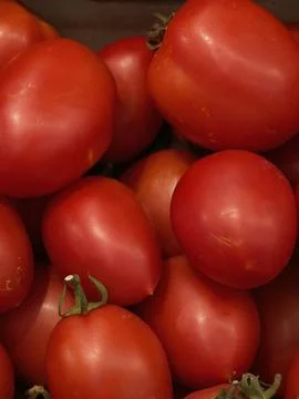 Close up view of ripe red tomatoes packed tightly together with smooth skin.. Stock Photos