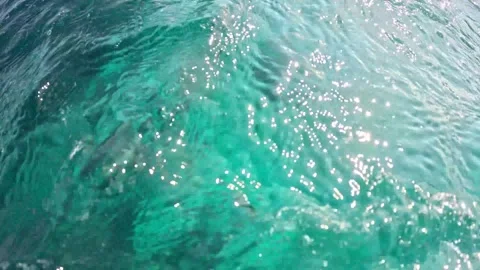 Close view of rippled wave ocean floor with a rope controlling camera underwater Stock Footage 295075896