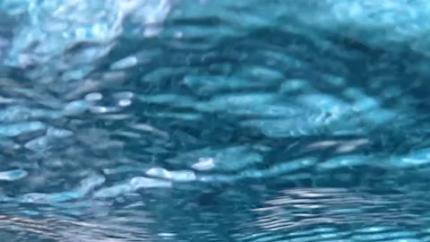 Close Up View of Rippling Blue Water Surface in Swimming Pool Video stock 329465950