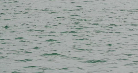 Close view of rippling green gray water Stockbeeldmateriaal 336471131