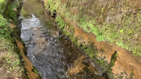 Close up view of river currents or water ripples Stock Footage 295492555