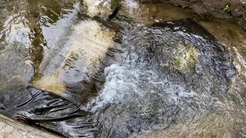 Close up view of river currents or water ripples Stock Footage 295498868