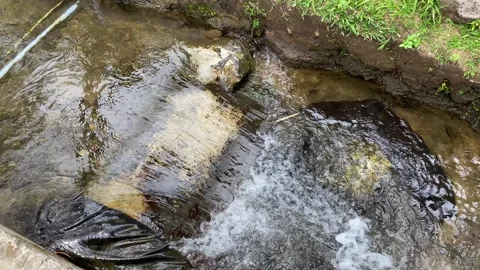 Close up view of river currents or water ripples Stock Footage 295498869