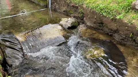 Close up view of river currents or water ripples Stock Footage 295499024