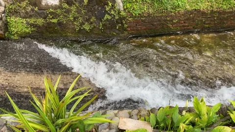 Close up view of river currents or water ripples Stock Footage 295499115