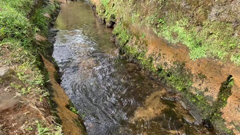 Close up view of river currents or water ripples Stock Footage 295499325