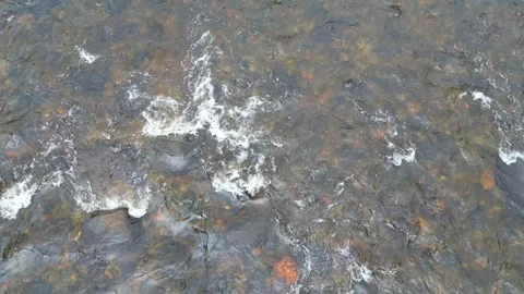 A close-up view of a river's surface Stock Footage 253472793