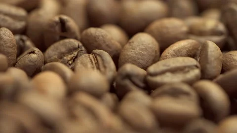 Close-up view of roasted arabica beans lying inside equipment in modern factory Stock Footage 165586912