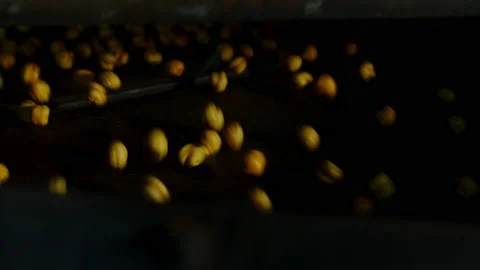 Close-up view of roasted chickpea. Stock Footage 207081969