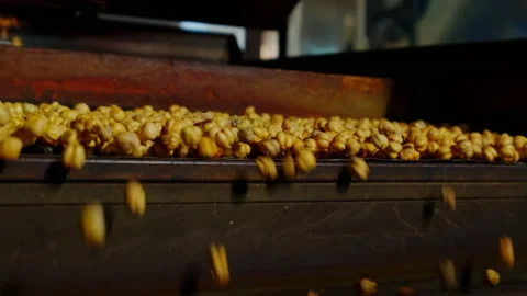 Close-up view of roasted chickpea. Stock Footage 207083033