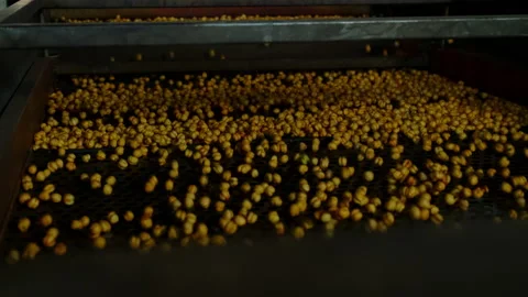 Close-up view of roasted chickpea. Stock Footage 207085801