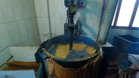 Close-up view of roasted chickpea. Stock Footage 207086993