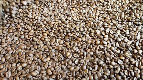 Close-up view of roasted coffee beans scattered on a surface Stock Footage 312253942