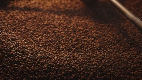 Close-up view of roasted coffee beans resting in cooling tray under warm light Stock Footage 315751254