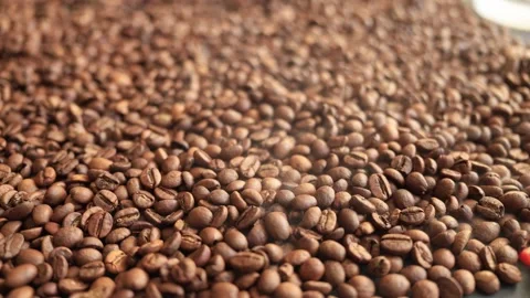 Close-up view of roasted coffee beans filling the frame with warm brown tones Stock Footage 338431242