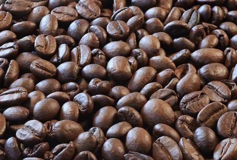 Close view of roasted coffee beans ready to be ground and infuse Foto stock