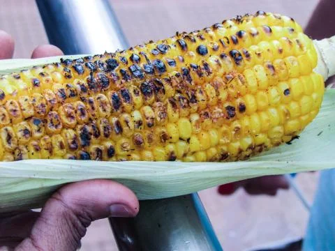 Close view of roasted corn cob in hand Foto stock