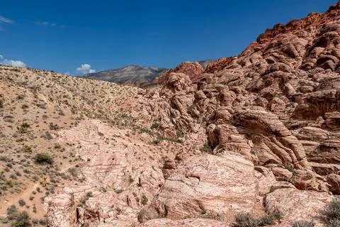Close up view of rock formation of Aztec sandstone slickrock rock formation.. Stock Photos