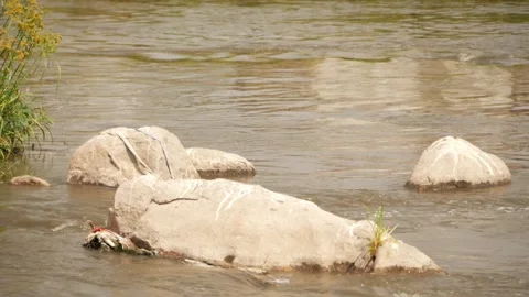 Close view of rocks in a river with water flowing around Stock-Footage 148538502