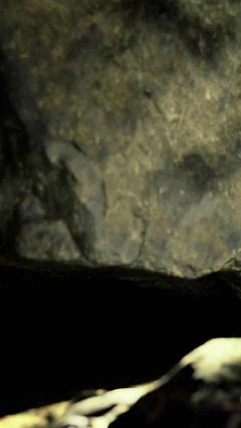 Close view of rocky surface in cave showing texture and natural patterns Stock Footage 334889853