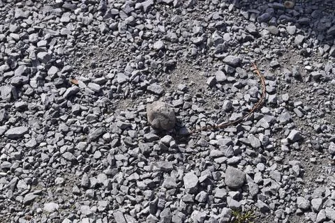 Close-up View of a Rocky Terrain Stock Photos