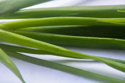 Close up view of the root of leeks, has fibrous roots. The roots of leeks t.. Stock Photos