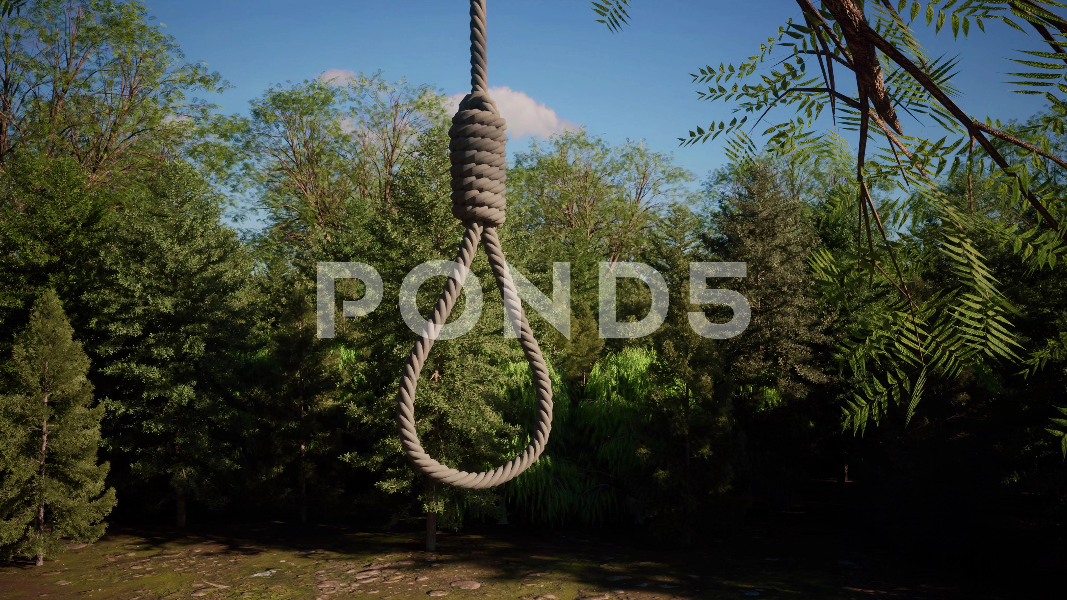 A close-up view of a rope with a noose k, Stock Video