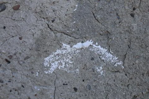 Close up view of a rough grey concrete wall texture Stock Photos