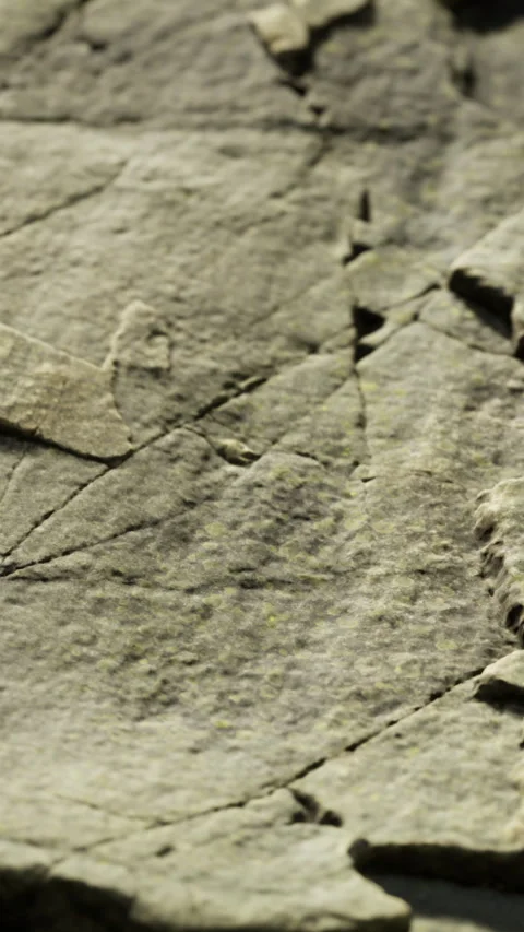 Close view of rough stone surface with cracks and texture in natural setting Stock Footage 336989051