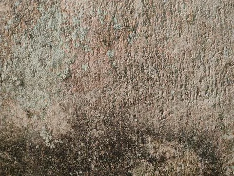 A close-up view of a rough, weathered plaster wall exhibiting mixed earthy .. Stock Photos