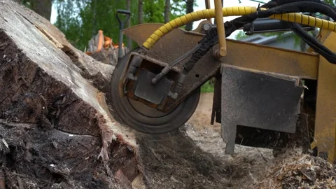 A close view of the round milling head of a stump cutter or grinder Stock Footage 154768746