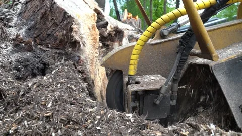 A close view of the round milling head of a stump cutter or grinder Stock Footage 154768817