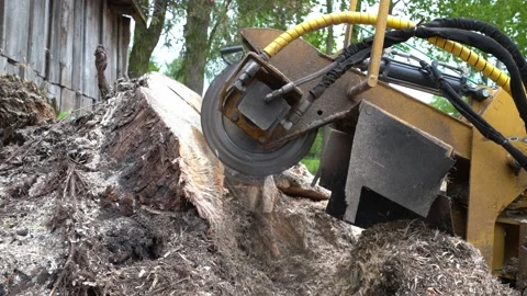 A close view of the round milling head of a stump cutter or grinder Stock Footage 154768823