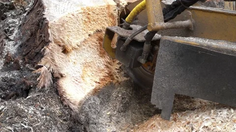 A close view of the round milling head of a stump cutter or grinder Stock Footage 154768938