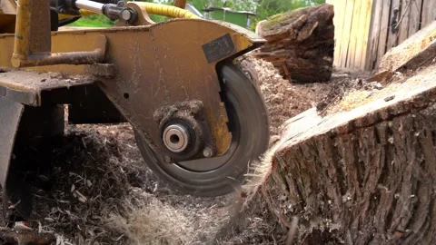 A close view of the round milling head of a stump cutter or grinder Stock Footage 154768984