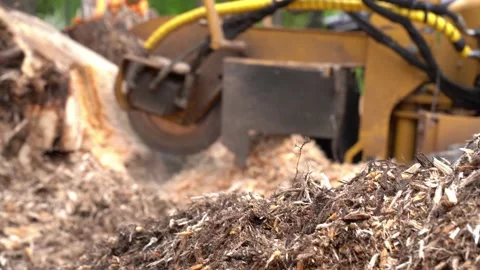 A close view of the round milling head of a stump cutter or grinder Stock Footage 154769012