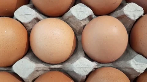 Close up view row of fresh eggs at the supermarket. Video stock 278234209