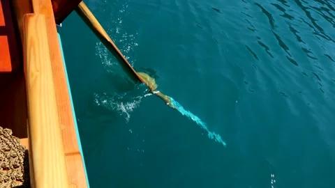 Close-up view, rowing boat, Lake Bled, Blejsko jezero, Bled, Slovenia Vídeos de archivo 342187722