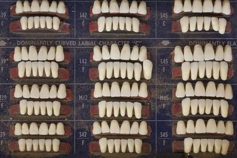Close up view of rows of replacement teeth on a worn shade board in an old .. Stock Photos