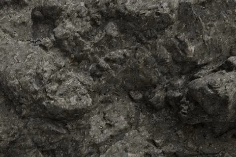 A close-up view of a rugged, dark gray rock surface, featuring an intricate.. Foto stock