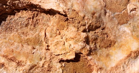 Close View of Rugged Red Stone in Sunlight with Diffuser Stock Footage 313806514