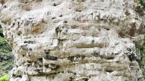 Close-up view of a rugged, weathered limestone rock cliff face featuring la.. 스톡 동영상 346910995