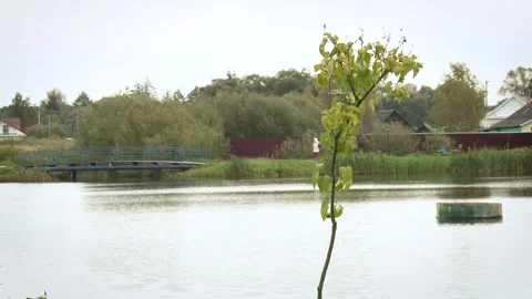 Close view of running river below the small bridge in village. Stock Footage 133347626