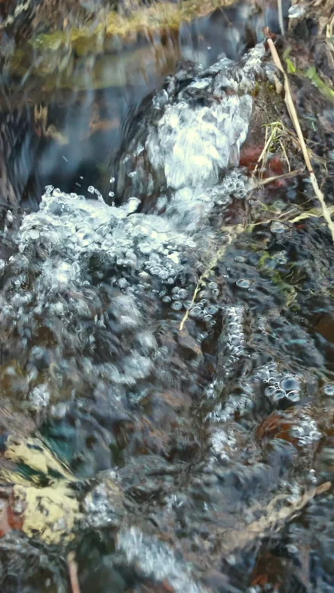 A Close-Up View of a Rushing Stream with Clear Water Flowing Through Natural Gra Stock Footage 322979645