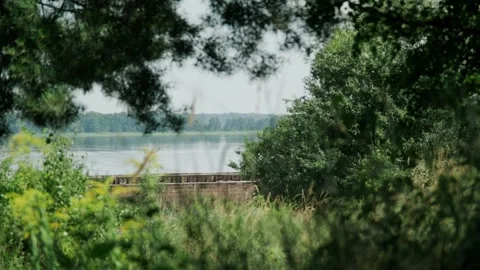 Close-up view of a rusty cargo barge surrounded by dense green trees Stock Footage 318544611