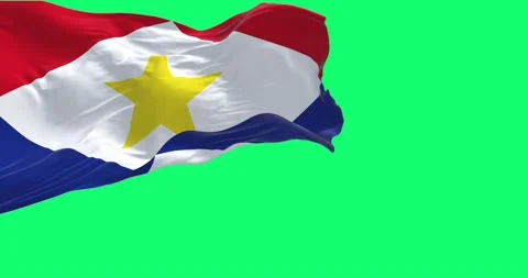 Close-up view of Saba national flag waving in the wind. Video stock 219418190