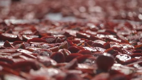 Close Up View of Salt Being Sprinkled on Cut Tomatoes for Drying, June 15, 2023, Video stock 336613300