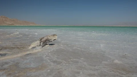 Close up view of salt crystals and mineral formation on the shore of Dead Sea in Video stock 97829571